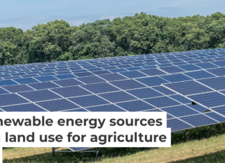 Large-scale solar power plants are key elements of energy policies in New York and other states. Lev Radin/Pacific Press/LightRocket via Getty Images